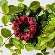 satynowa-gumka-do-wlosow-mini-bordo (3).jpg